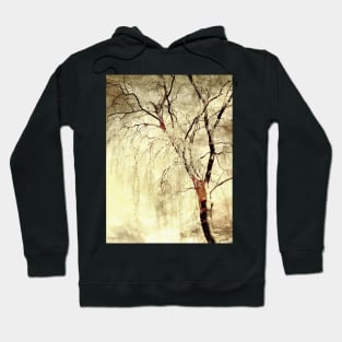 Willow Sunrise Hoodie